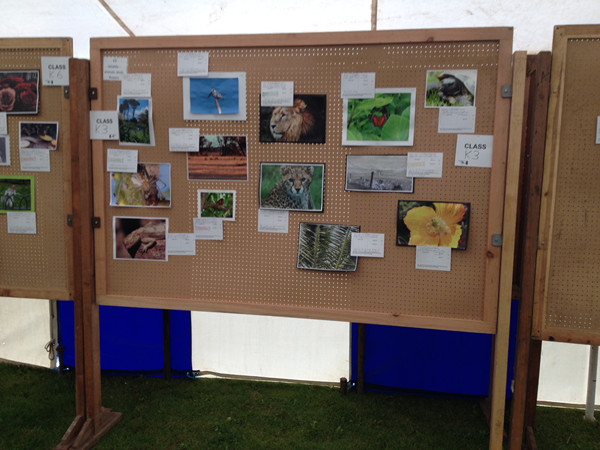 Exhibits for display on a board at Wilmslow Show 2014