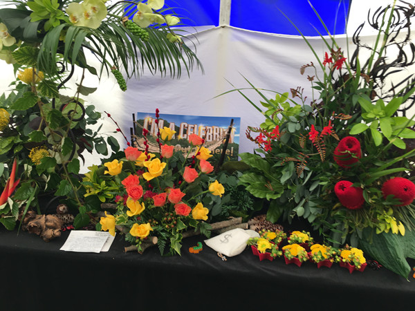 Wilmslow Show 2019 - Flower Club exhibit