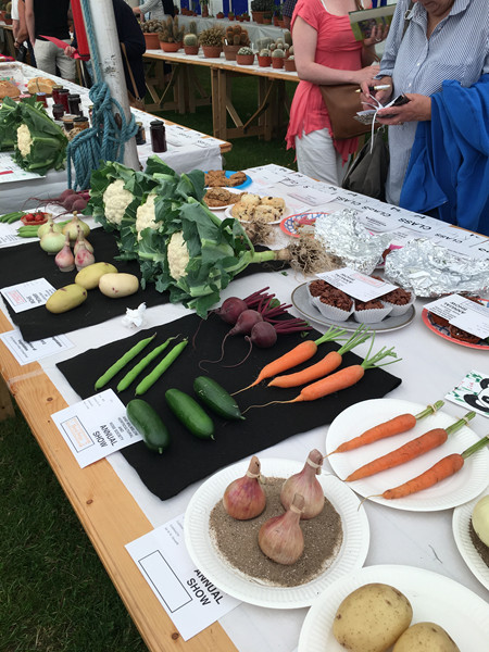 Mainly vegetable exhibits at Wilmslow Show 2019